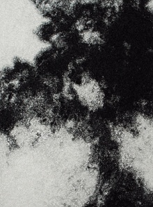 untitled #3